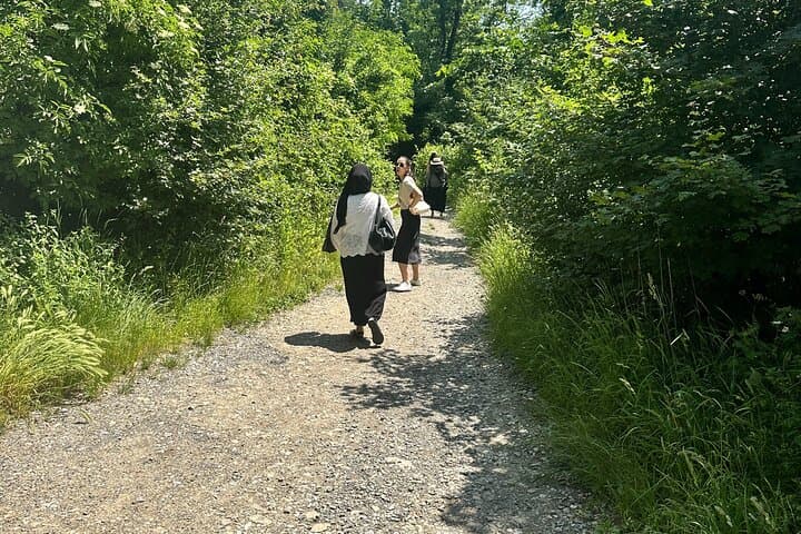 Viennese Vineyards Wine Hiking Experience