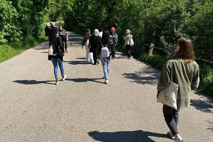 Viennese Vineyards Wine Hiking Experience