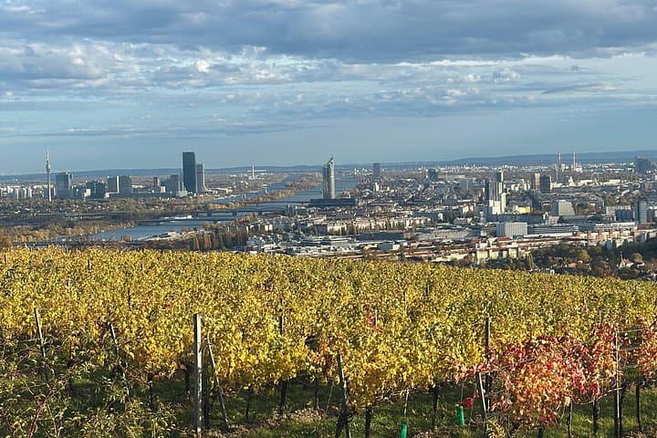 Viennese Vineyards Wine Hiking Experience