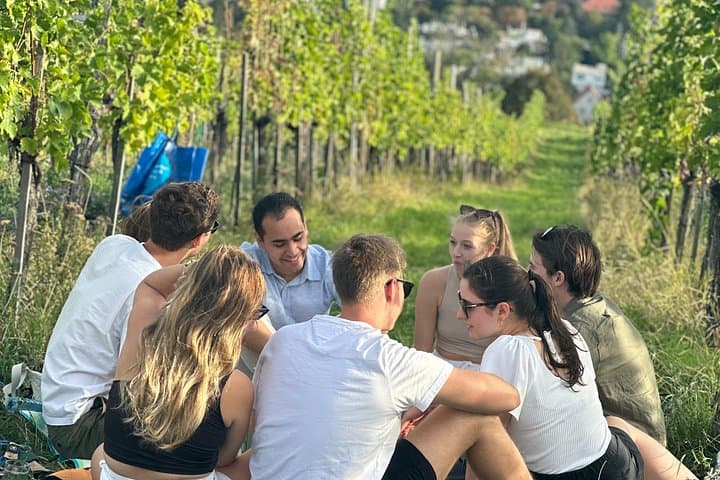 Viennese Vineyards Wine Hiking Experience