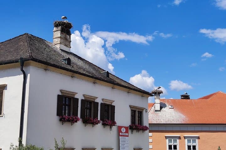 Rustic Austria: Wine & Countryside Private Day Tour