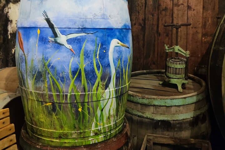 Rustic Austria: Wine & Countryside Private Day Tour