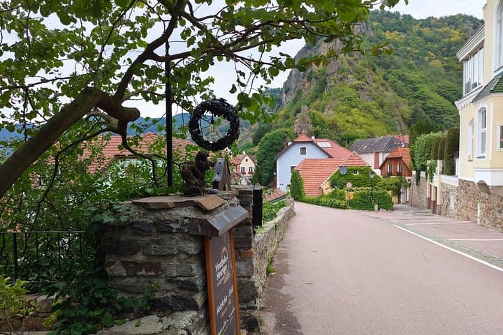 Private Wine Day: 2000 Years of Austrian Wine in Wachau & Kapmtal