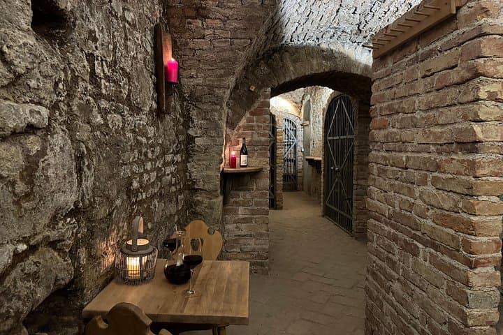 Viennese wine tasting in a private historic wine cellar