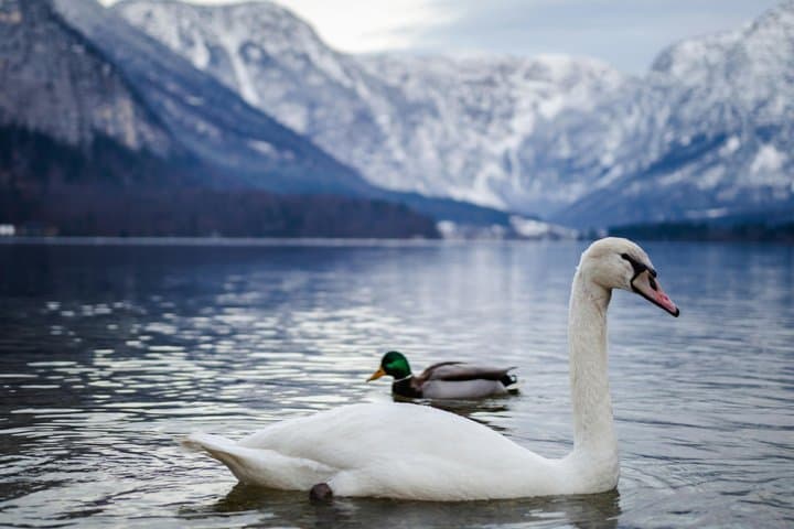 Magical Hallstatt Day Trip from Vienna