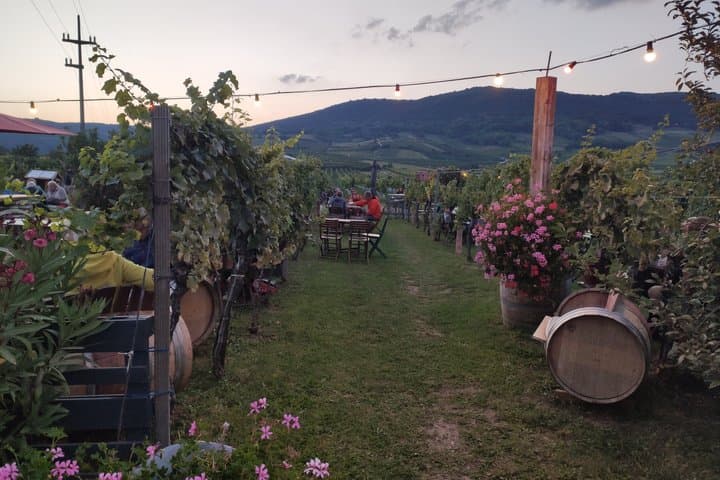 A Perfect Ending: Unwind at a traditional Austrian wine tavern. Sip the finest local wines without a worry—your private driver will take you safely home!