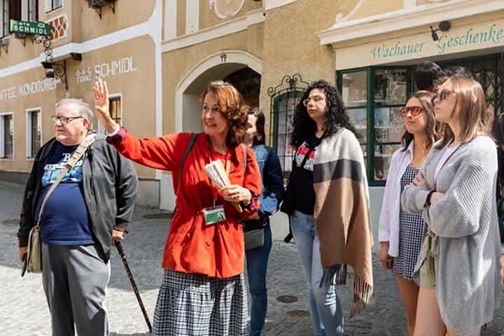 Danube Valley and Melk Abbey Guided Day Trip from Vienna