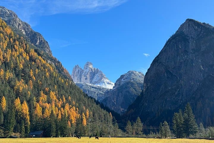 Private Venice Transfer & Tour from Innsbruck to Venice
