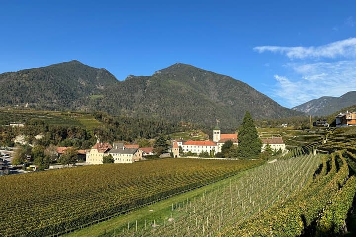 Private Venice Transfer & Tour from Innsbruck to Venice