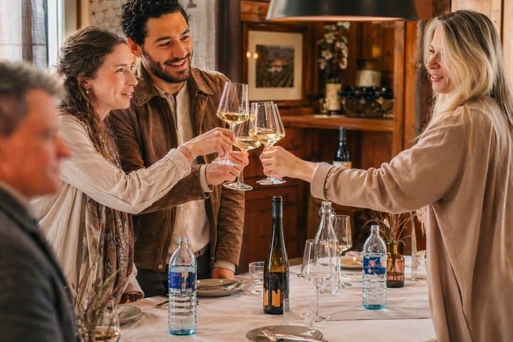 Private Burgenland Wine Tour from Vienna Lunch and Lake Crossing
