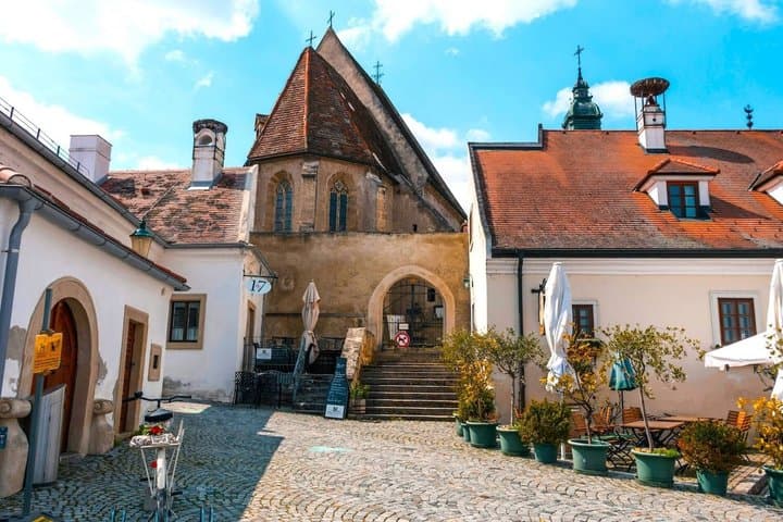 Private Burgenland Wine Tour from Vienna Lunch and Lake Crossing