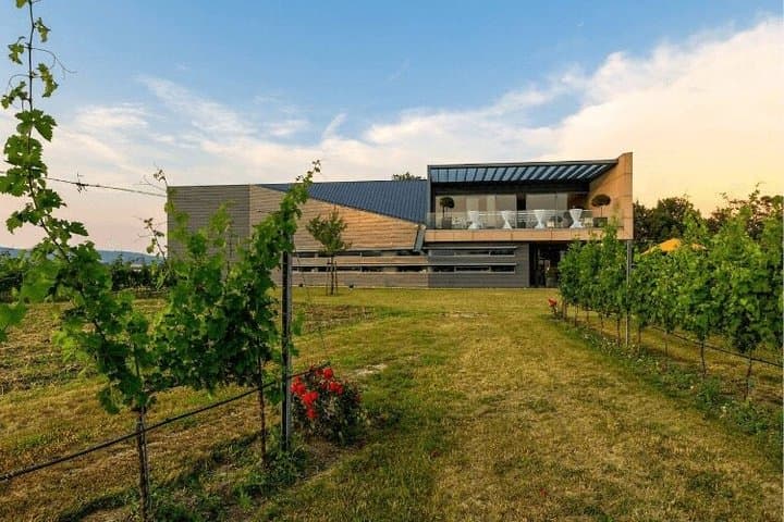 Private Wine tour Esterházy from Vienna