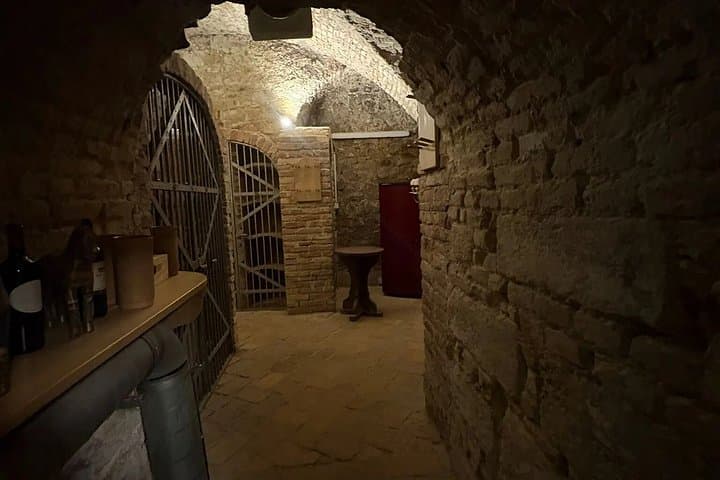 Vienna Spy Adventure with live actors