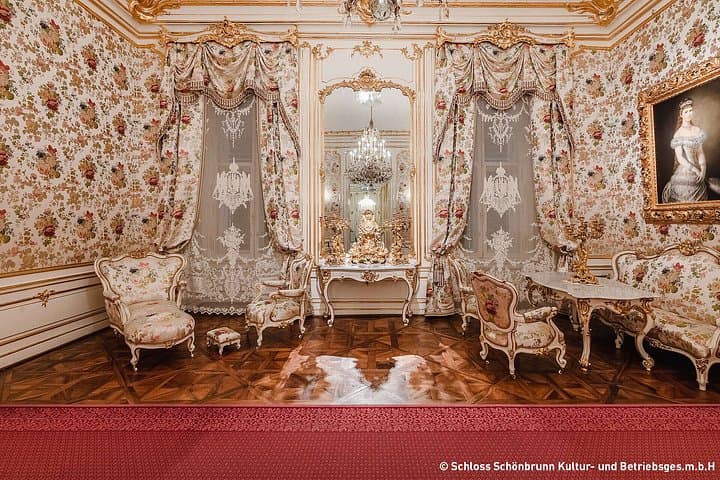 Skip-the-Line Schonbrunn Palace Guided Tour and Vienna Historical City Tour