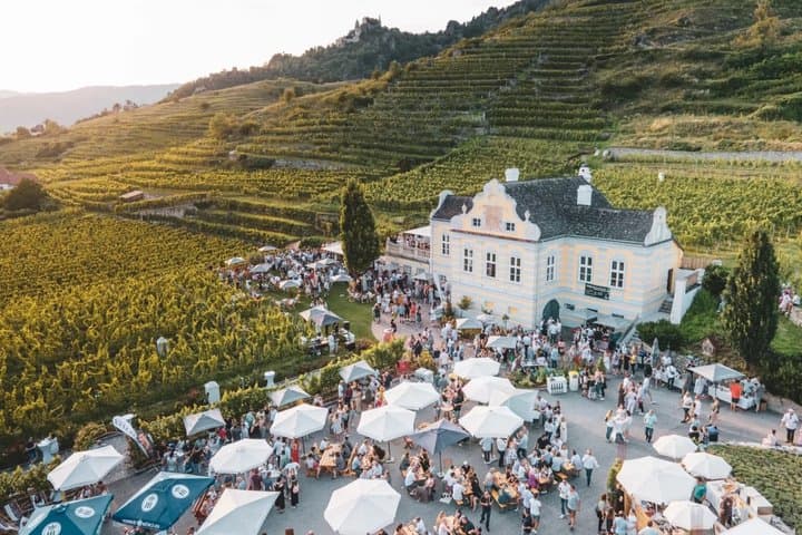Wachau Valley Boat and Wine Private Day Experience from Vienna