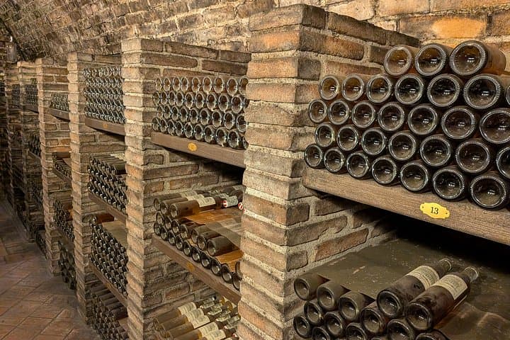 Private Wine Day: 2000 Years of Austrian Wine in Wachau & Kapmtal