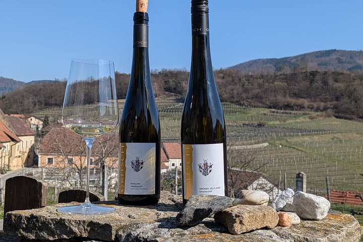 Private Wine Day: 2000 Years of Austrian Wine in Wachau & Kapmtal