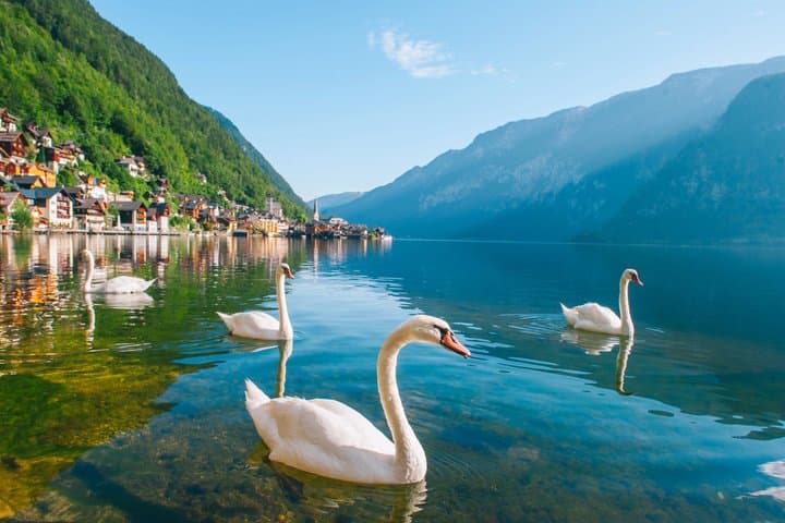 From Vienna to Hallstatt and Salzburg Day Trip with Hotel Pickup