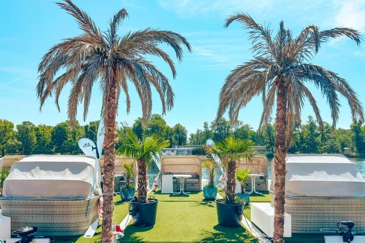 Palm boat island rental