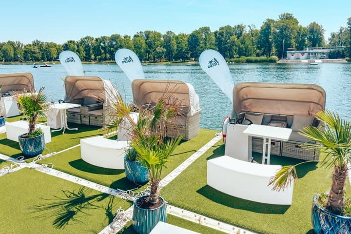 Palm boat island rental