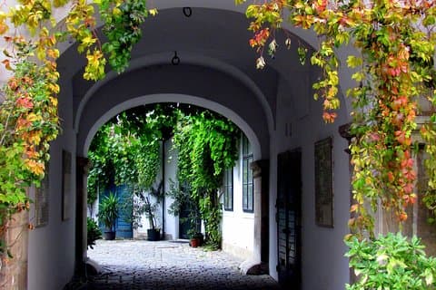 Mozart Arch