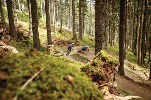 Guided downhill biking at Bikepark Innsbruck