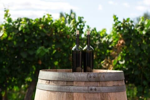 Private Vienna to Prague Transfer with Mikulov Winery
