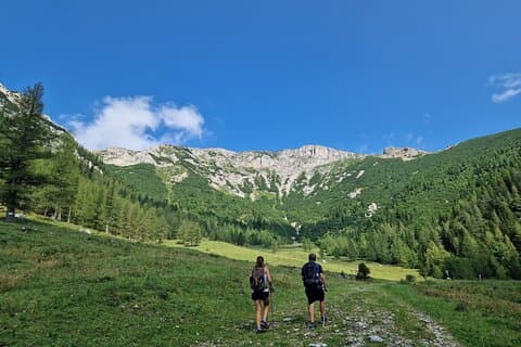 Vienna: Scenic Alpine Hiking Day Trip to Rax with Transfer
