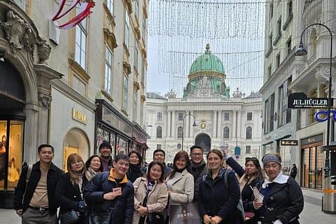 Fall in Love with Vienna in 2 Hours - Small Group