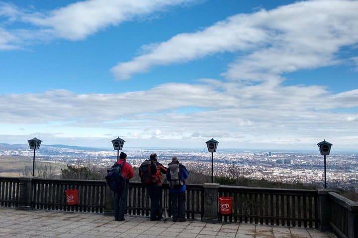 3-Hour Private Hiking Tour over Parapluie Mountain with a View of Vienna