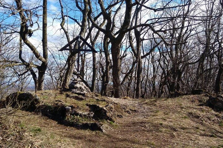 3-Hour Private Hiking Tour over Parapluie Mountain with a View of Vienna