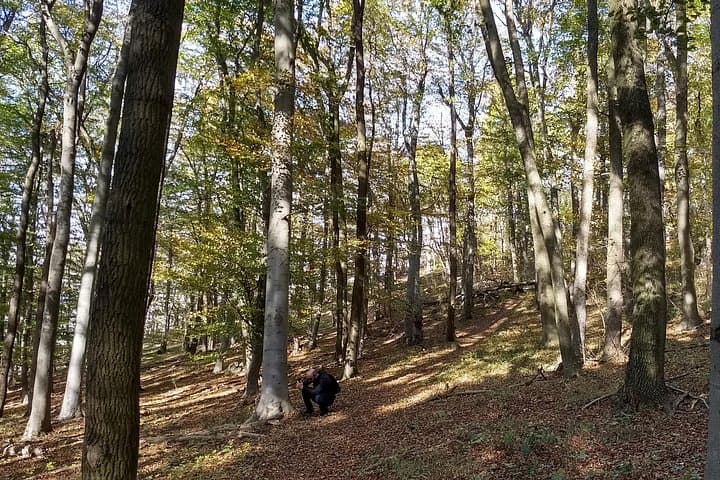 3-Hour Private Hiking Tour over Parapluie Mountain with a View of Vienna