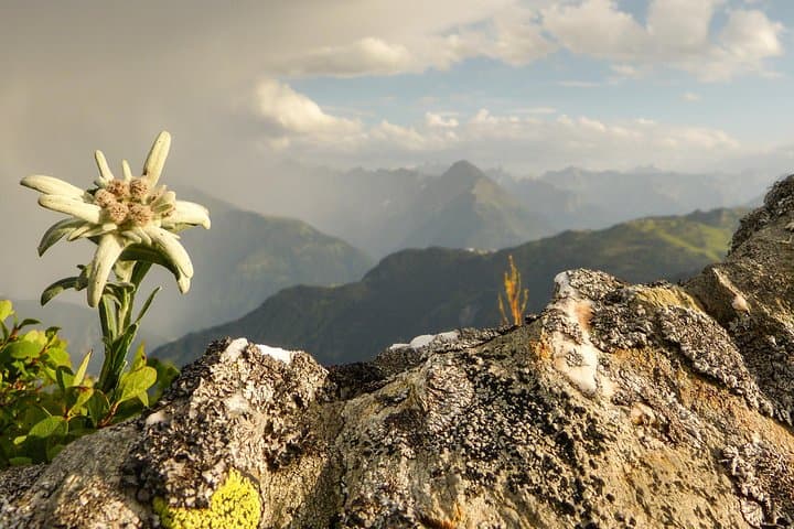 Private Eagle's Nest & The Hills are Alive