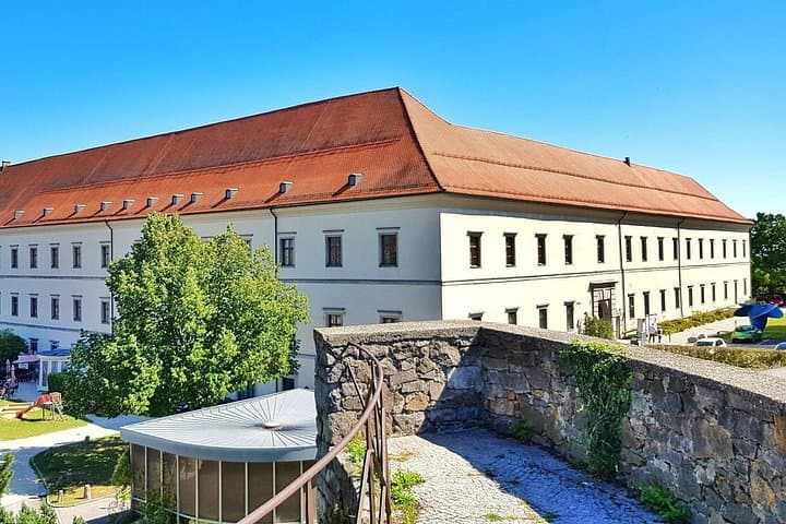 Linz castle