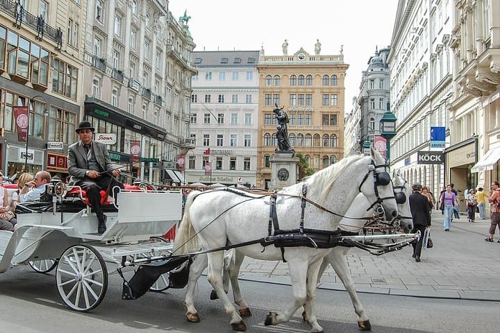 From Empire to Cathedral: Vienna Old Town Walking Tour