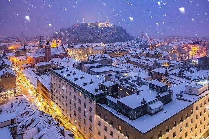 Ljubljana/ Bled- Vienna or vice versa. Fixed rate per vehicle.