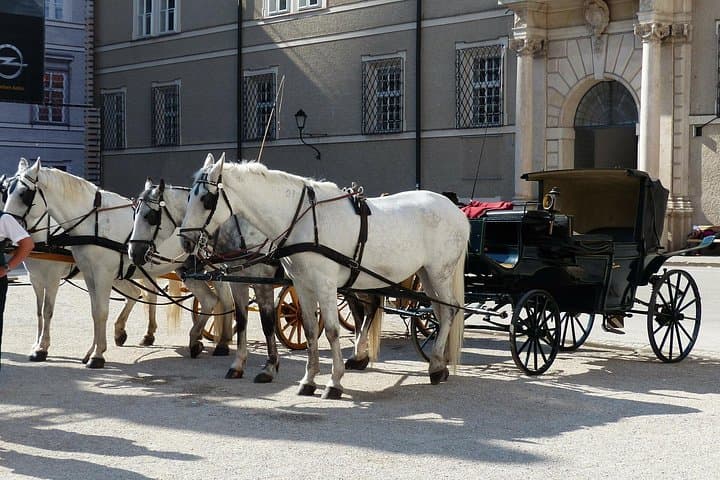 Private full day tour to Salzburg from Vienna with a local guide