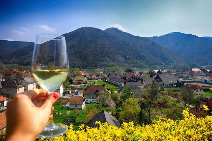 Glass of wine from Wachau Valley a great choice for your lunch.