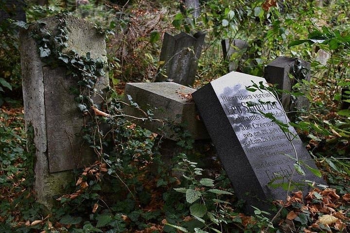 Vienna Cemetery Rally: Uncover Secrets of the Dead