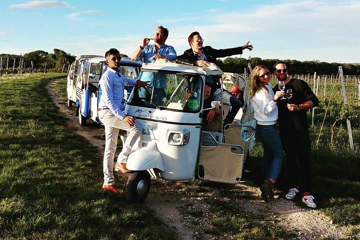 Best of Vienna Tour in TUK TUK!