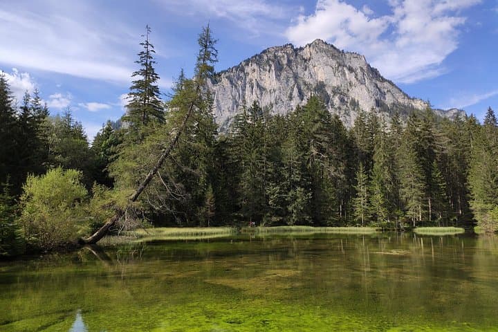 Private Vienna City Escape: Cool Alpine Forests & Hidden Styria