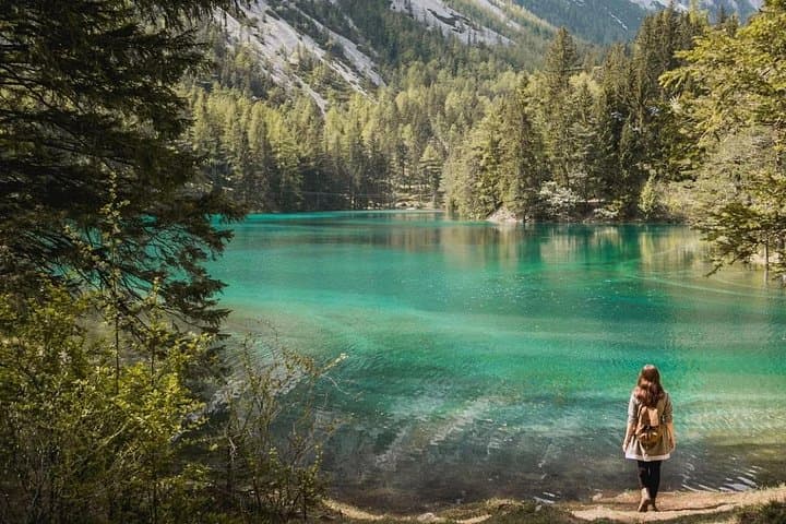 Private Vienna City Escape: Cool Alpine Forests & Hidden Styria