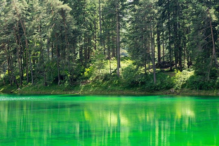 Private Vienna City Escape: Cool Alpine Forests & Hidden Styria