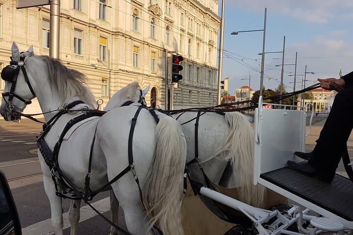 a horse-drawn carriage typical of Vienna, known as FIAKER by the Viennese