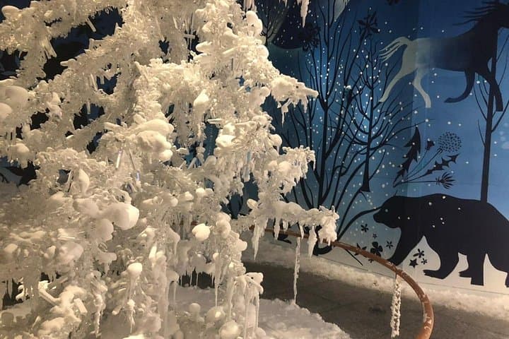 Snow room