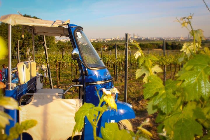 Wine picnic THE EXCLUSIVE EXPERIENCE IN VIENNA'S VINEYARDS!