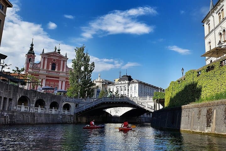 Private Direct Transfer from Vienna To Ljubljana, Local Driver