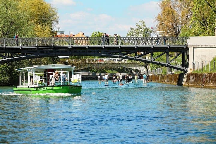 Private Direct Transfer from Vienna To Ljubljana, Local Driver