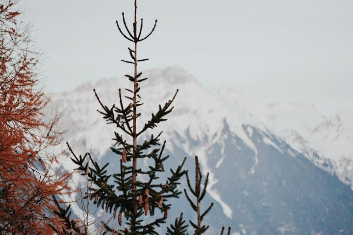 Innsbruck Christmas Market Tour