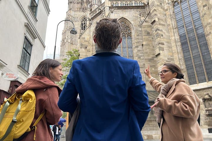 Highlights of Vienna: Private Walking Tour with Cathedral Tower